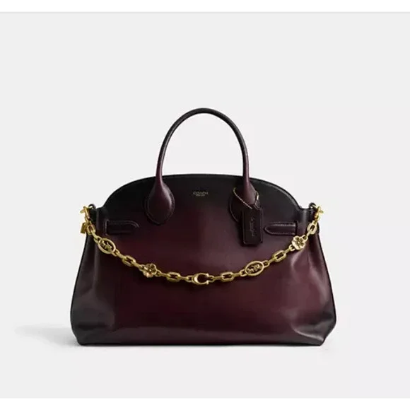 Coach Horse & Carriage Chain Strap In Brass/Brass CX180 NWT - Picture 8 of 8